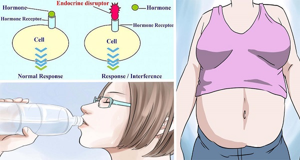 ENDOCRINE-DISRUPTORS-MAKE-YOU-FAT-SICK-AND-TIRED…THIS-IS-HOW-YOU-AVOID-THEM